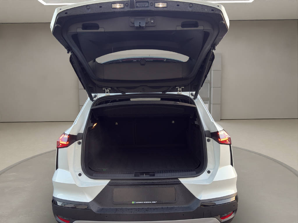 MITSUBISHI Grandis 1.8 HEV Instyle-image-13