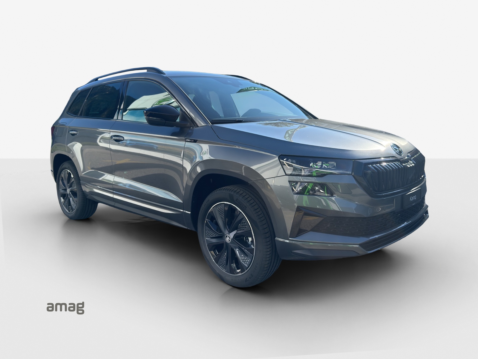 SKODA Karoq 2.0 TSI Dynamic Limited Edition 4x4 DSG-image-5