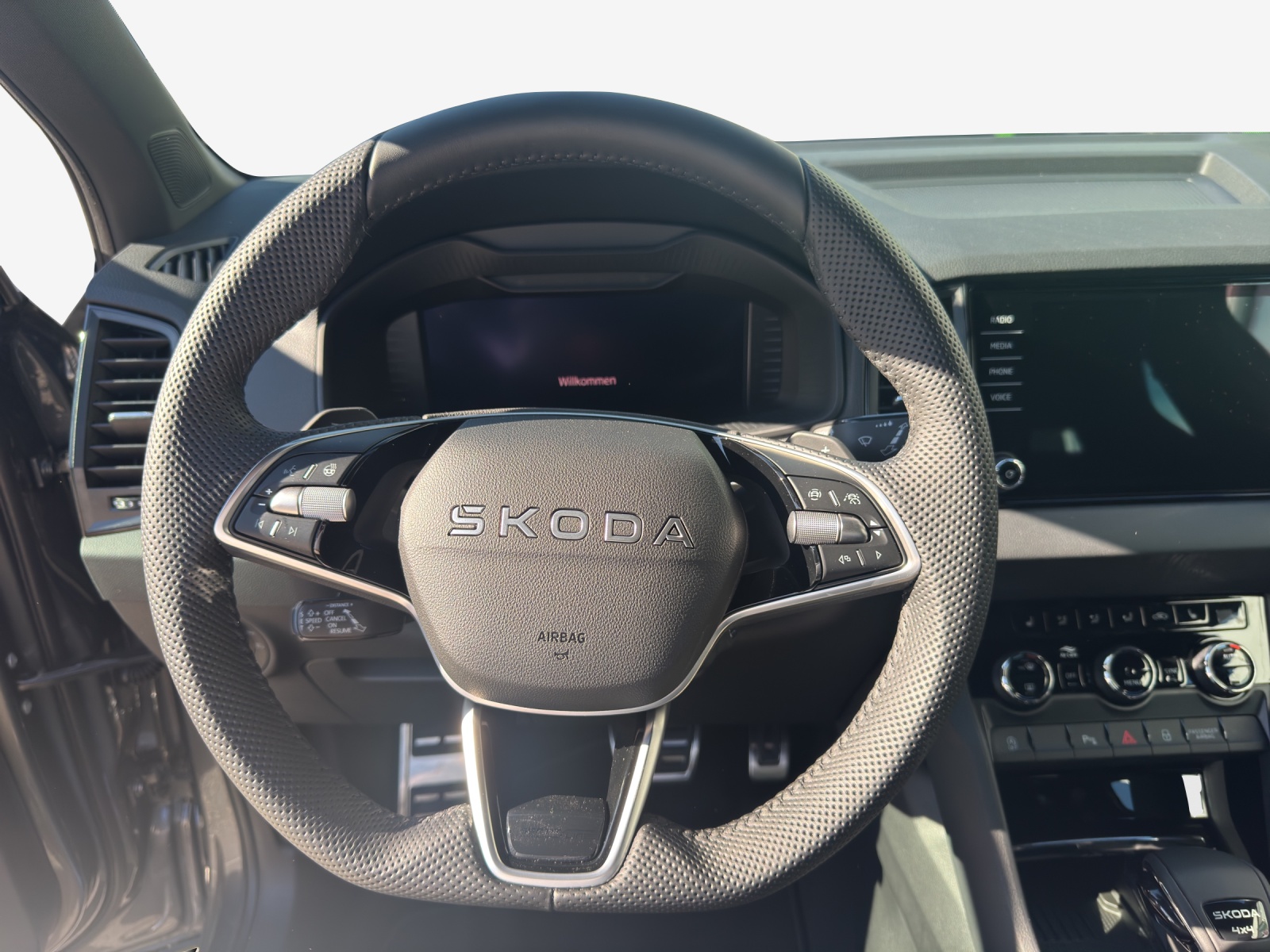 SKODA Karoq 2.0 TSI Dynamic Limited Edition 4x4 DSG-image-9