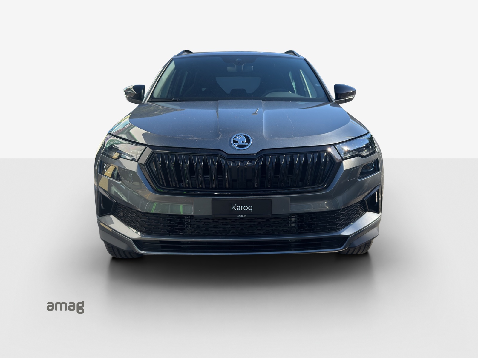SKODA Karoq 2.0 TSI Dynamic Limited Edition 4x4 DSG-image-6
