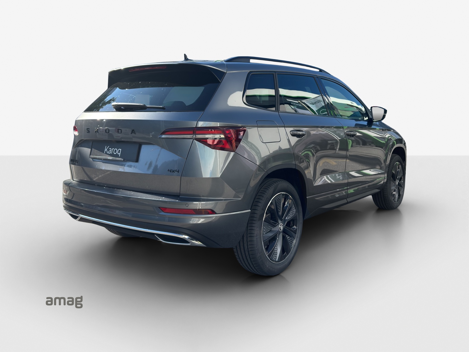 SKODA Karoq 2.0 TSI Dynamic Limited Edition 4x4 DSG-image-4