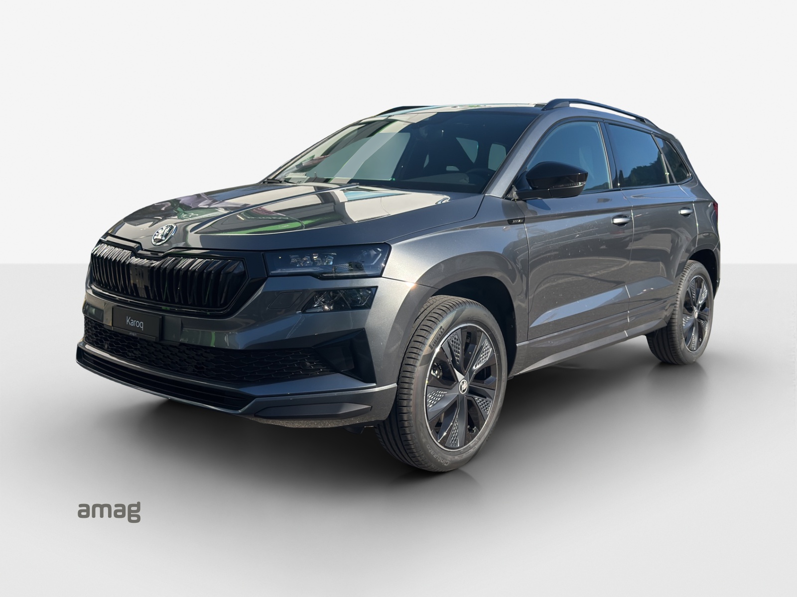 SKODA Karoq 2.0 TSI Dynamic Limited Edition 4x4 DSG-image-0