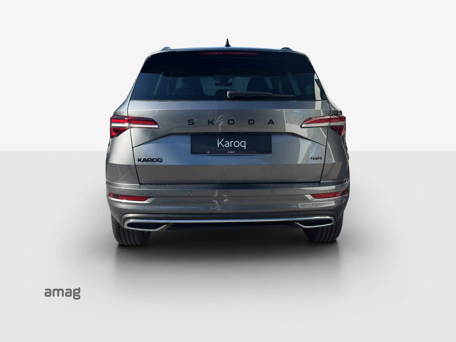 SKODA Karoq 2.0 TSI Dynamic Limited Edition 4x4 DSG-image-3