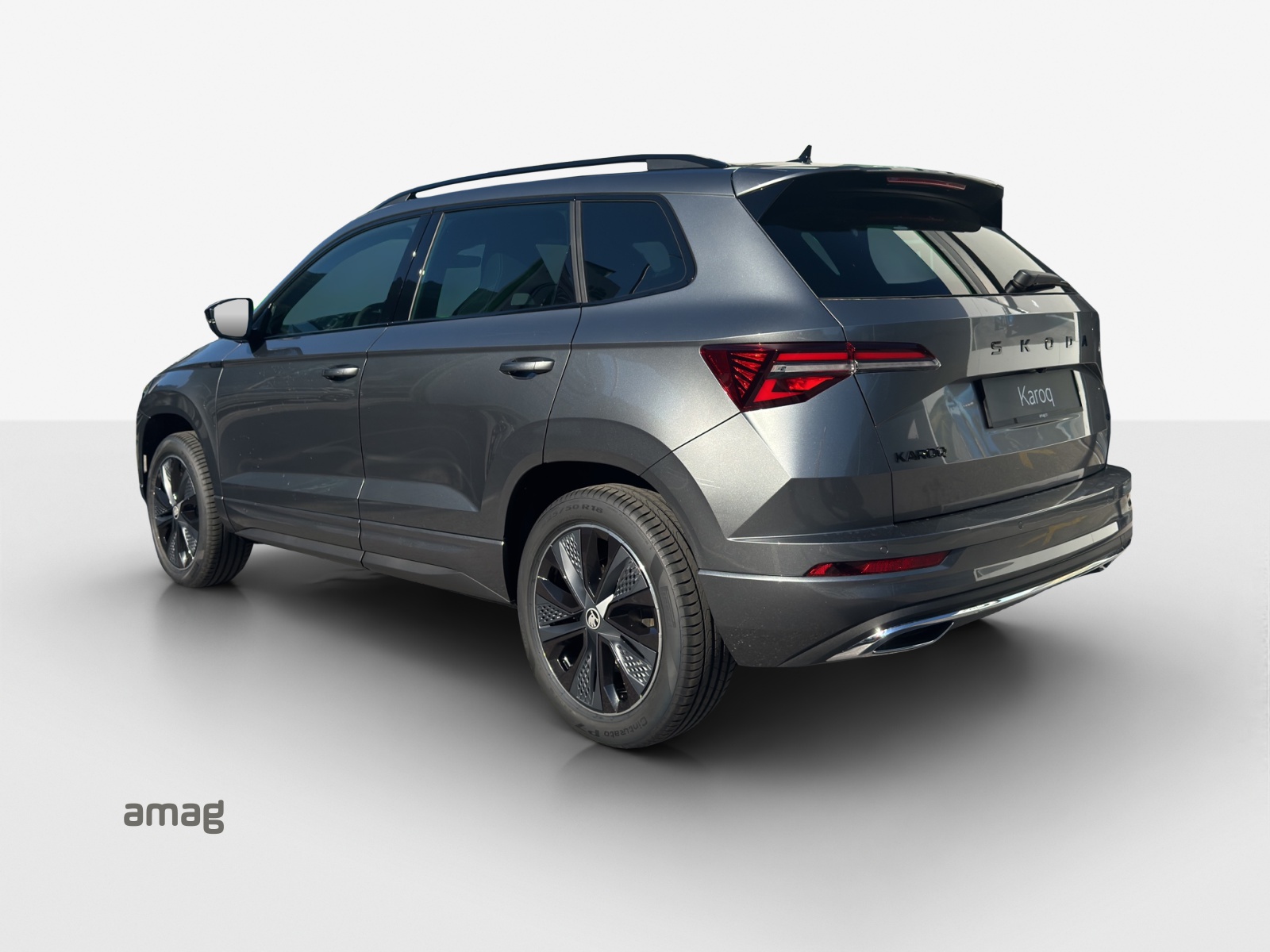 SKODA Karoq 2.0 TSI Dynamic Limited Edition 4x4 DSG-image-2
