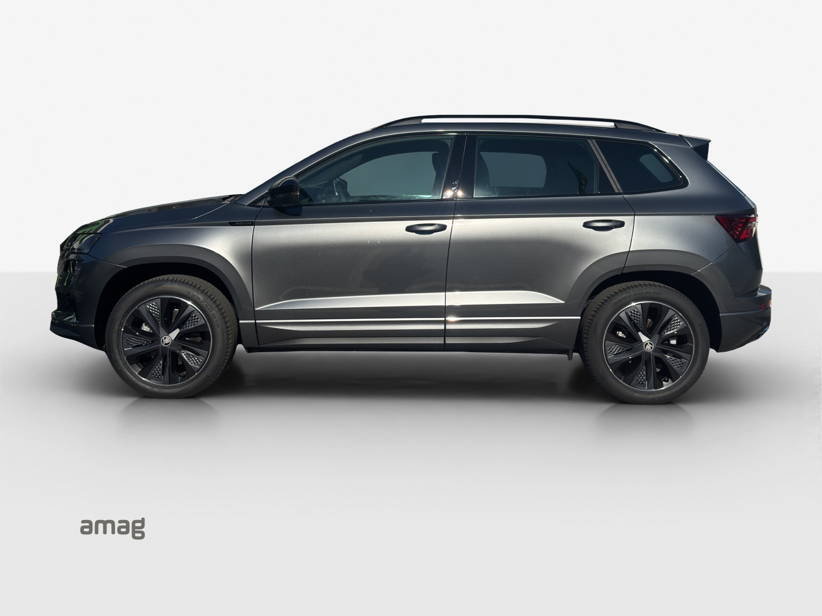 SKODA Karoq 2.0 TSI Dynamic Limited Edition 4x4 DSG-showroom-element-1