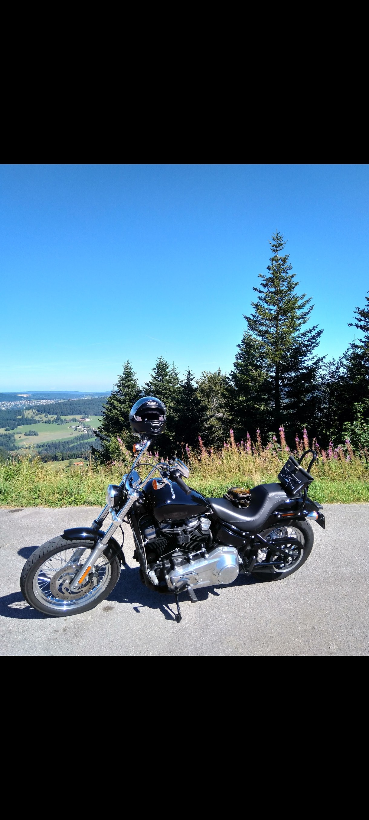 HARLEY-DAVIDSON FXST-image-2
