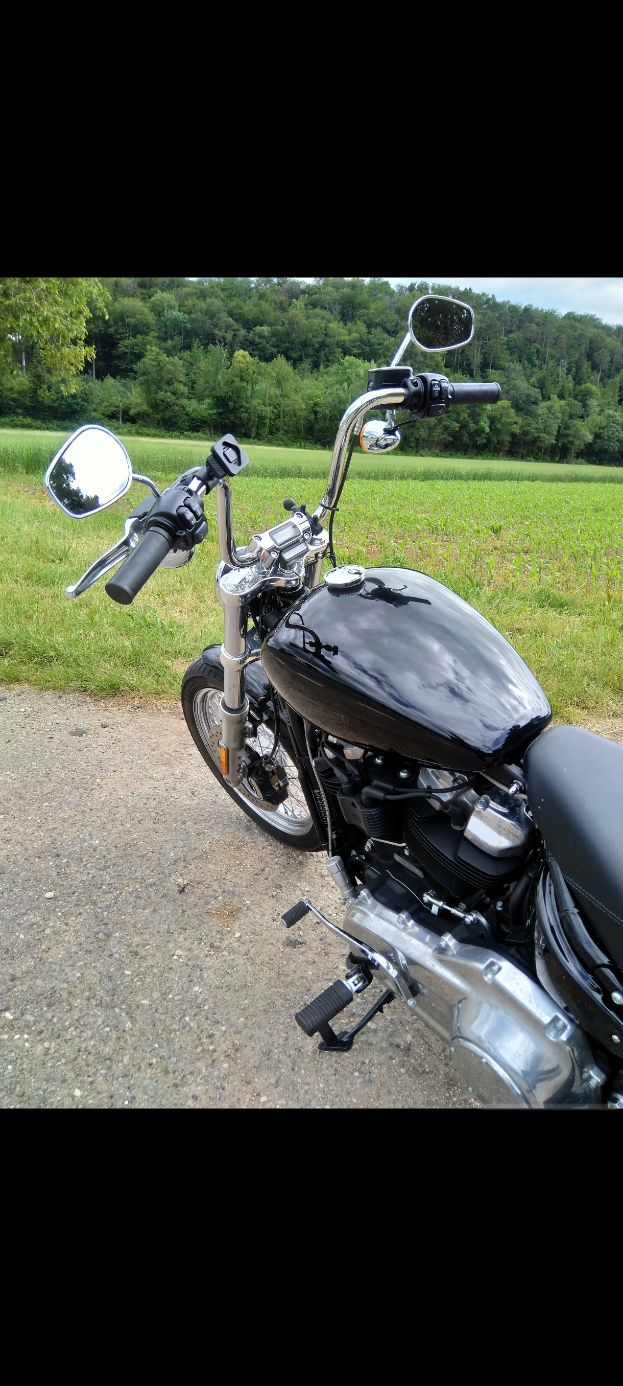 HARLEY-DAVIDSON FXST-image-3