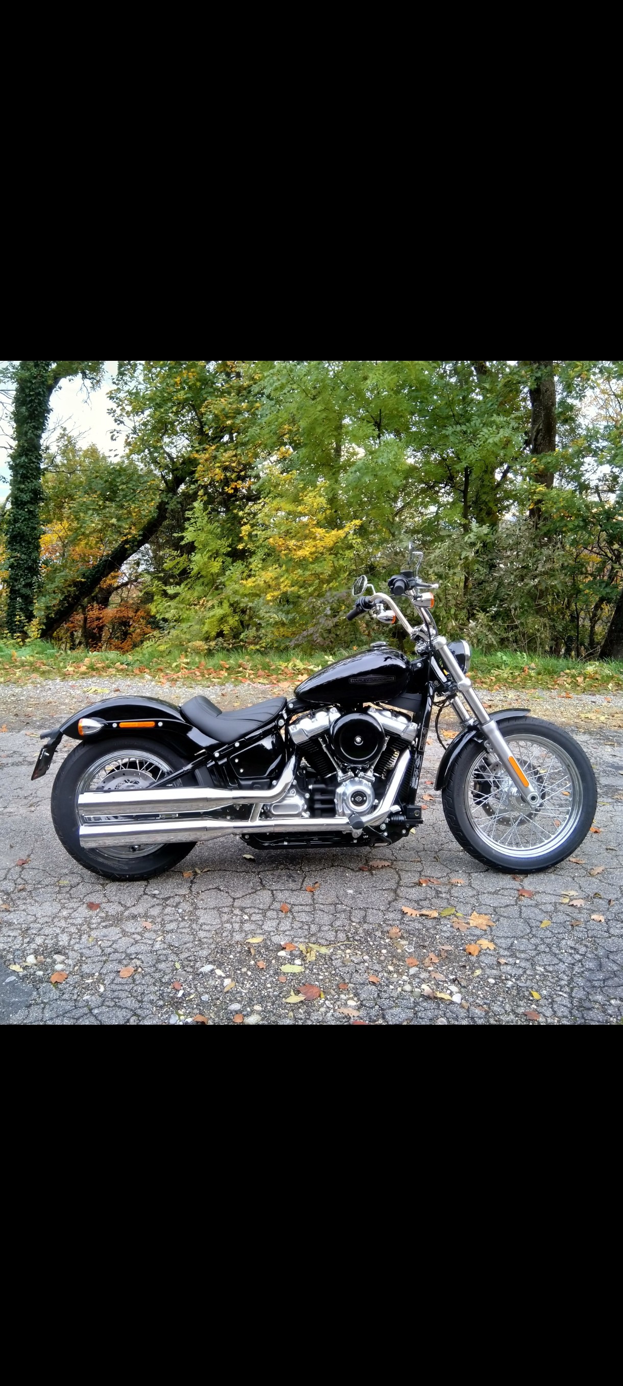 HARLEY-DAVIDSON FXST-image-0