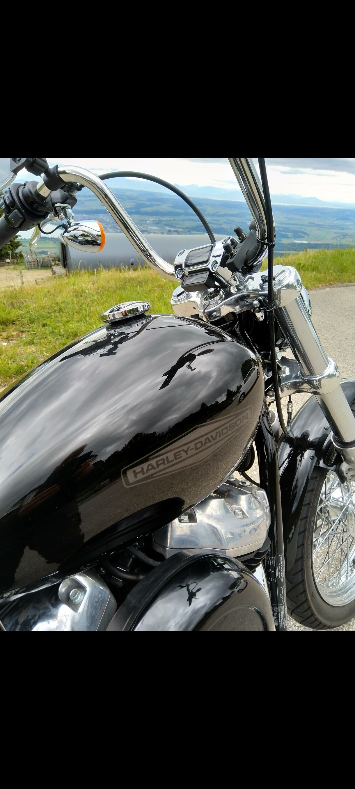 HARLEY-DAVIDSON FXST-image-5