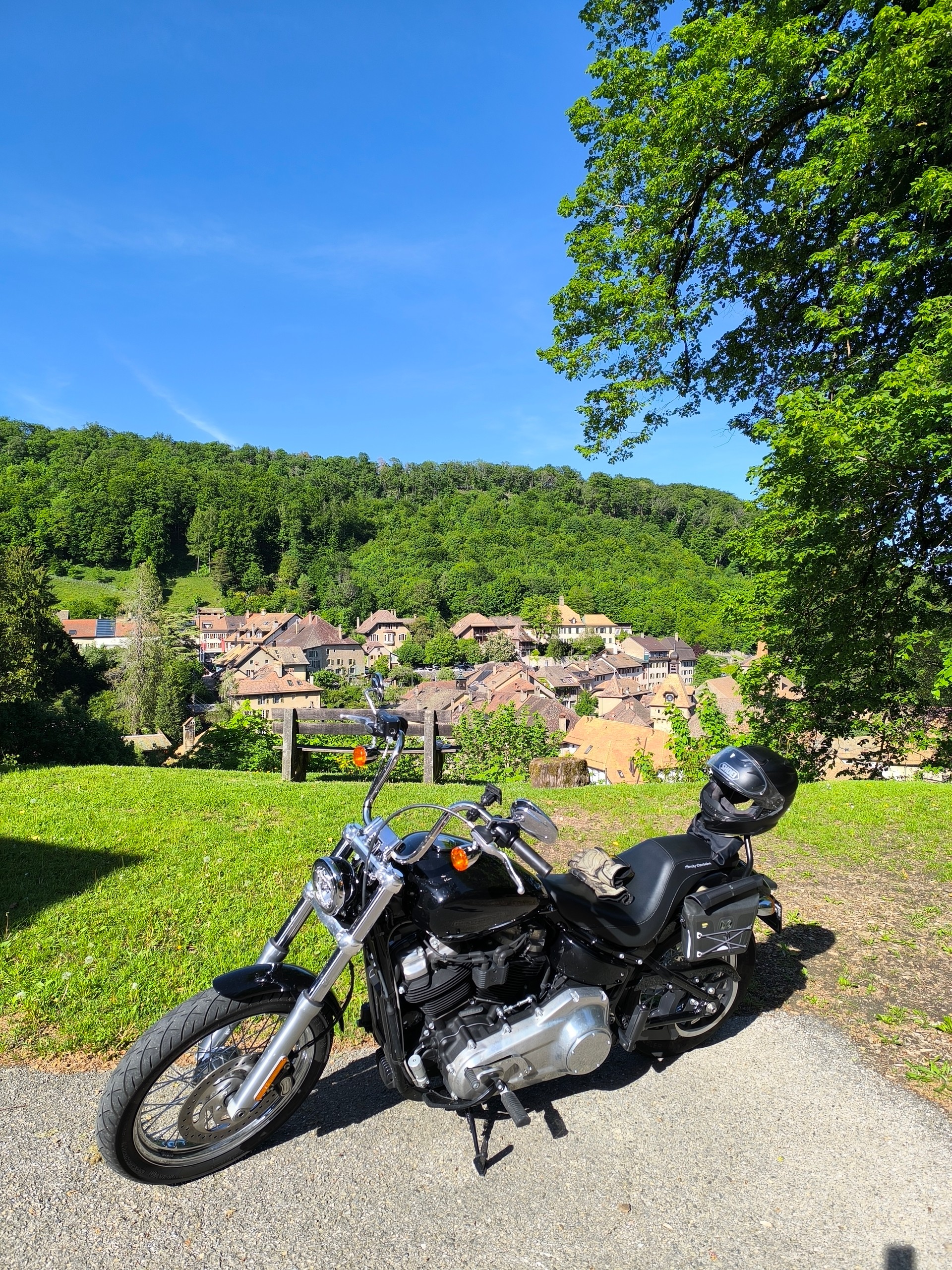 HARLEY-DAVIDSON FXST-image-7