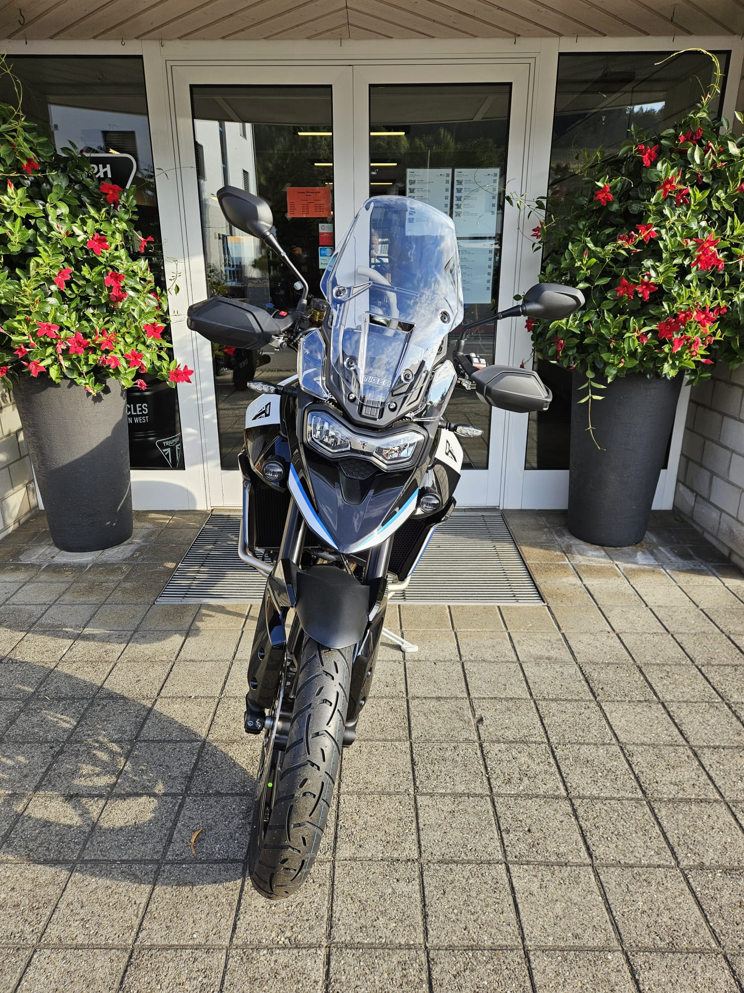 TRIUMPH 900 Alpine Edition-image-6