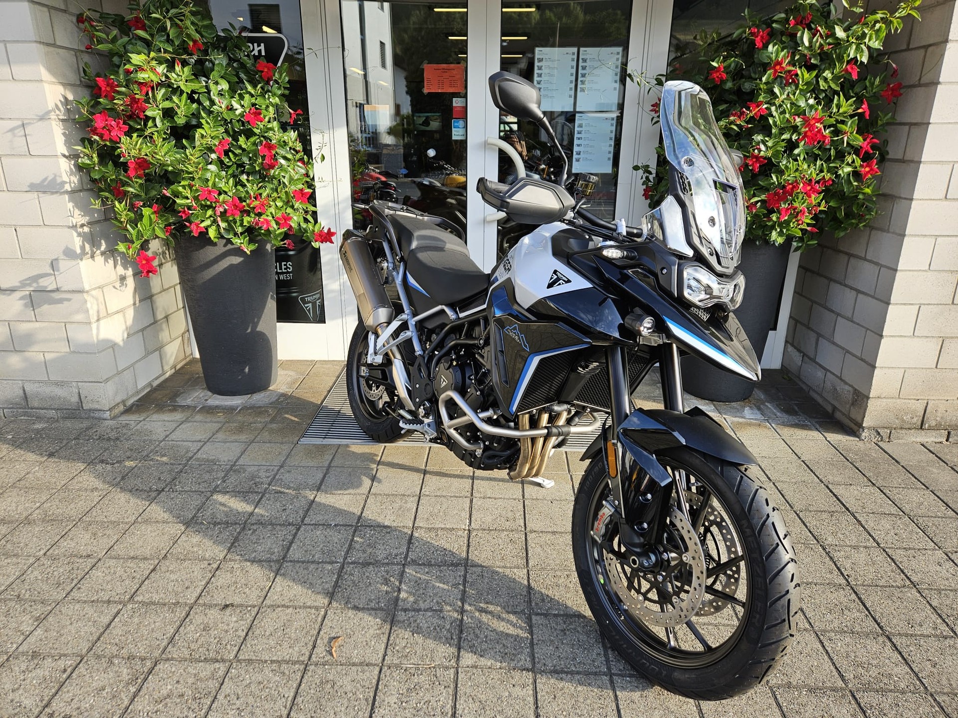TRIUMPH 900 Alpine Edition-image-3