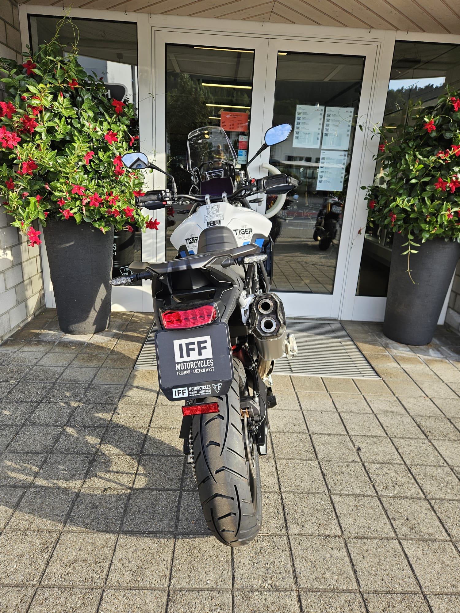 TRIUMPH 900 Alpine Edition-image-7