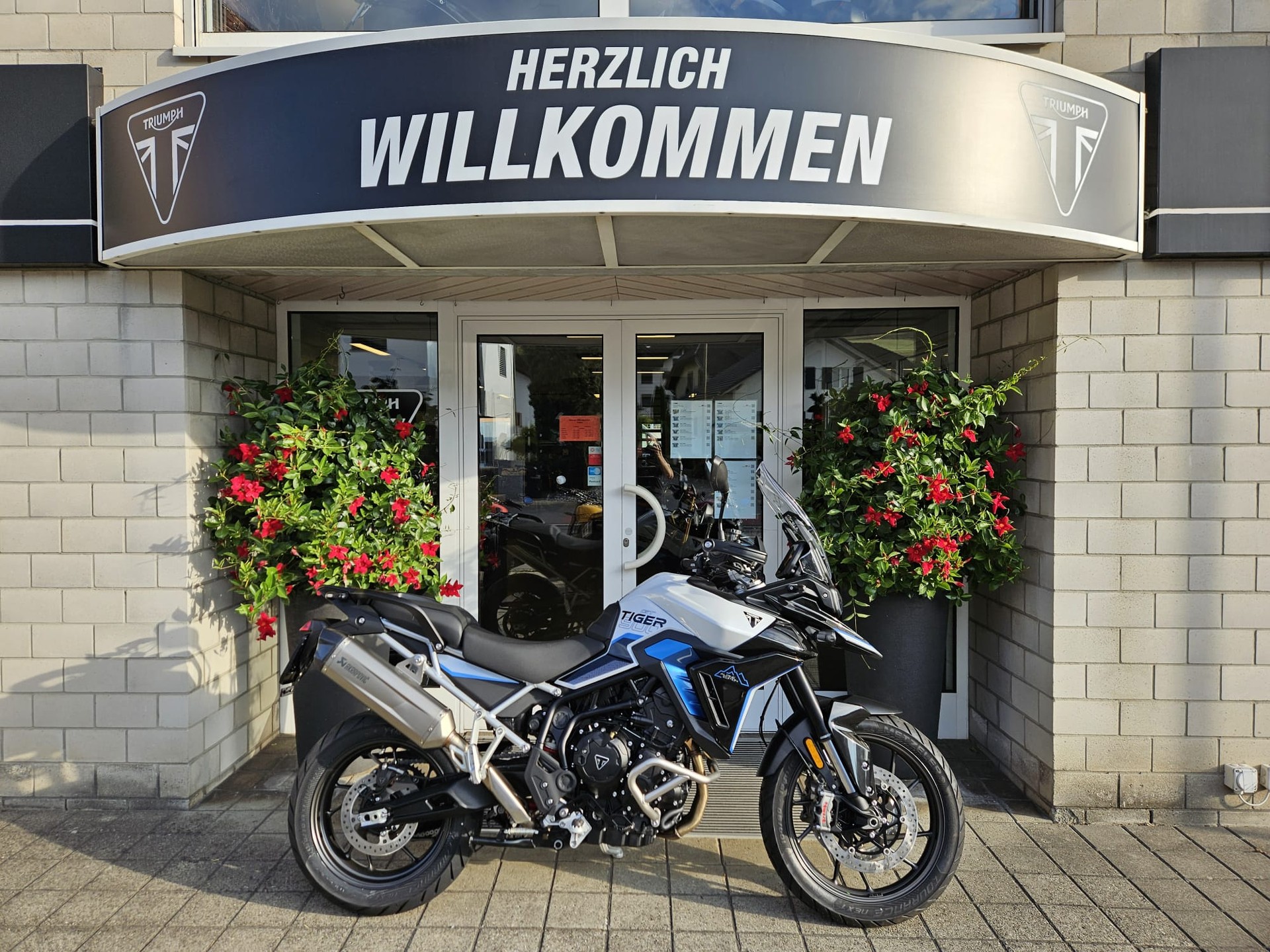 TRIUMPH 900 Alpine Edition-image-1