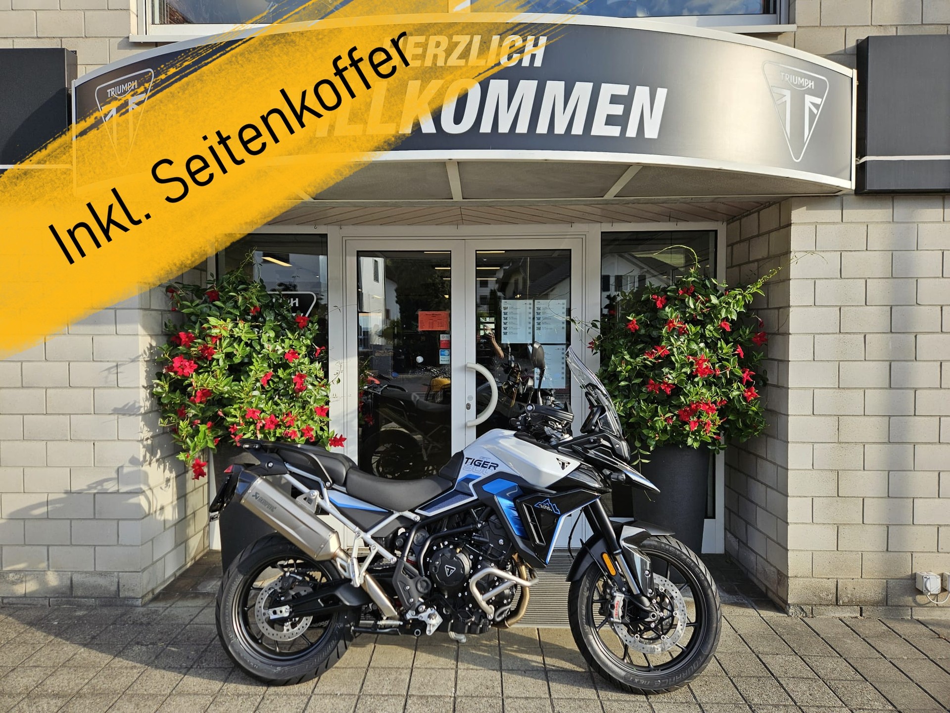 TRIUMPH 900 Alpine Edition-image-0