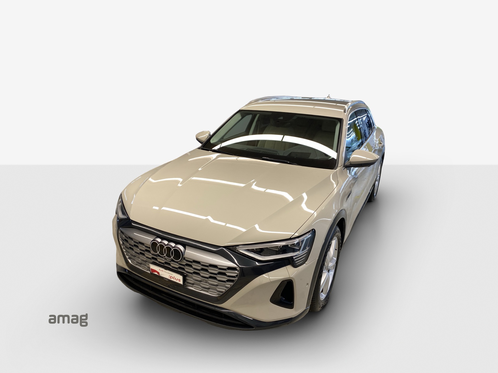 AUDI Q8 55 e-tron advanced quattro-image-15