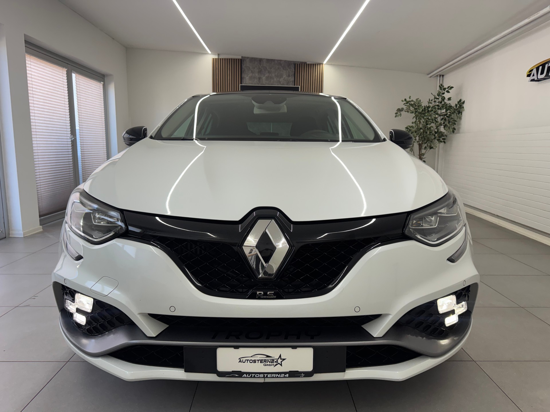 RENAULT Mégane Trophy 300 EDC*CH-Fahrzeug*Panoramadach*Frisch MFK*-showroom-element-2