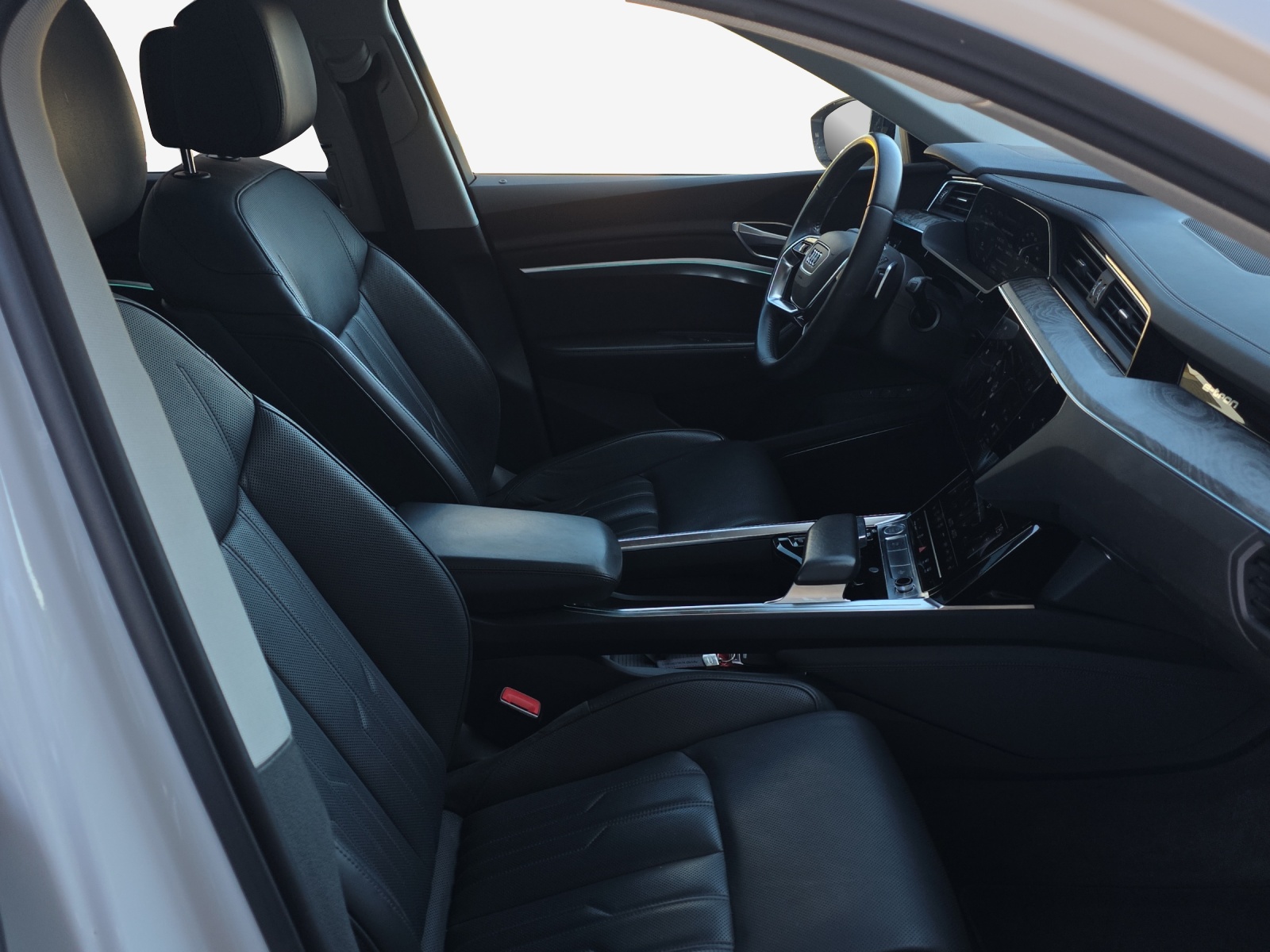 AUDI e-tron 55 Advanced quattro-image-15