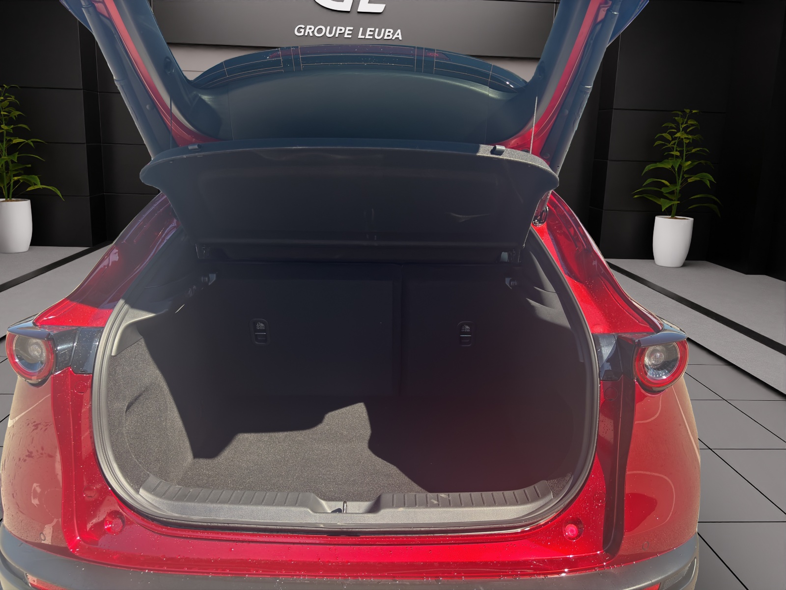 MAZDA CX-30 SKYACTIV-X 186 M Hybrid Homura AWD AT-image-6