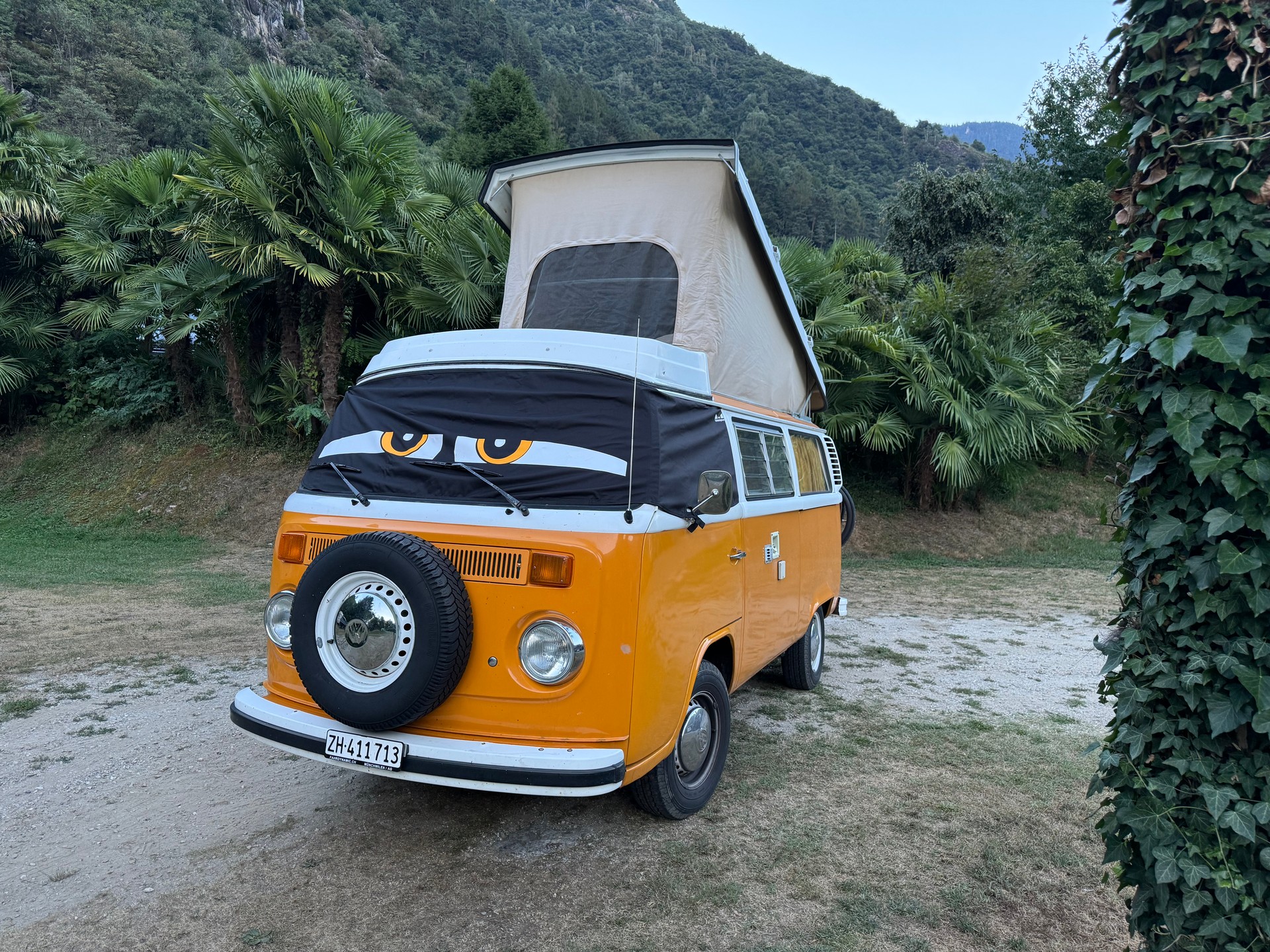 VW Westfalia Ausbau-image-1