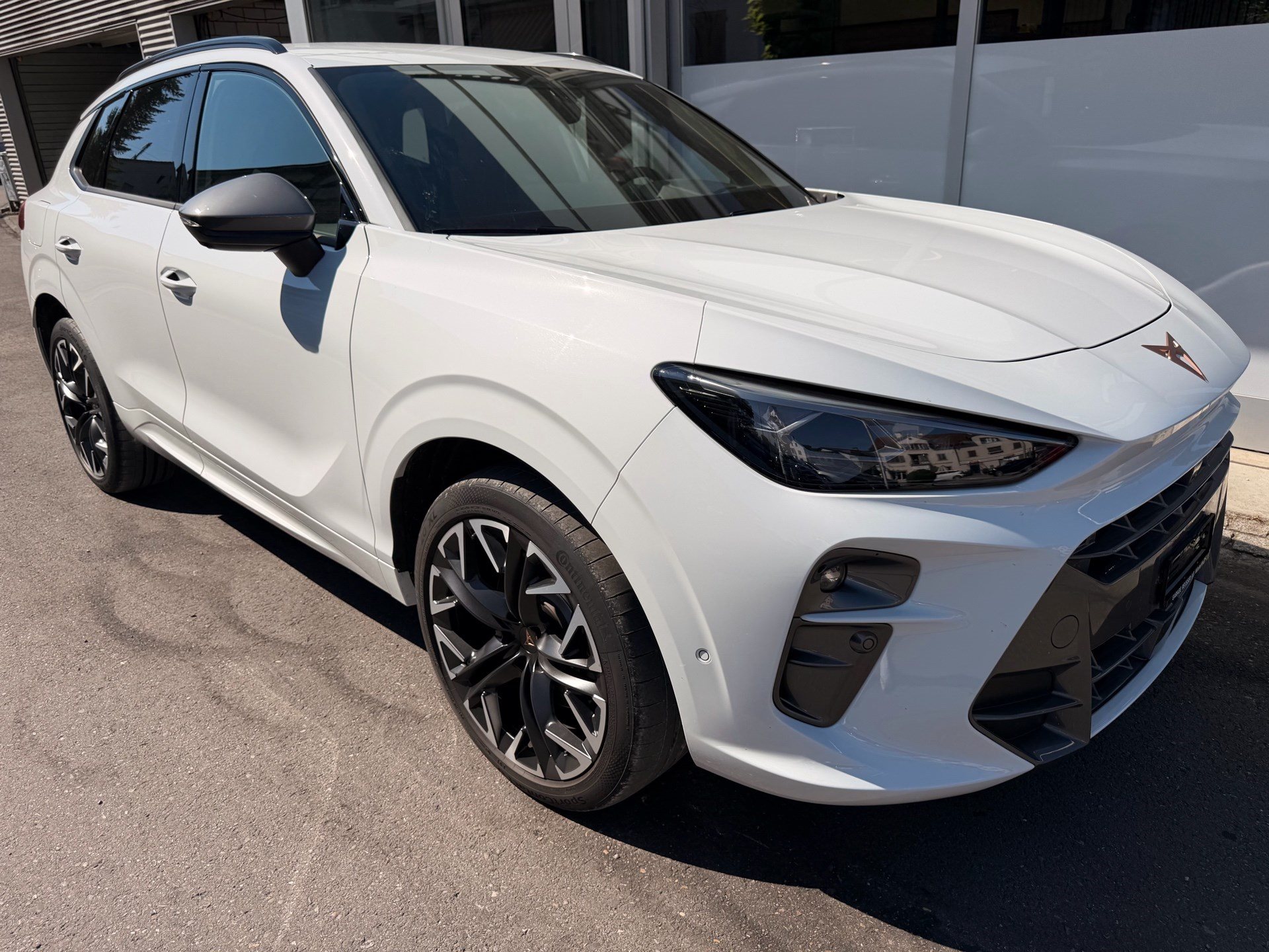 CUPRA Terramar 2.0 TSI 195 kW 4Drive VZ *** 360° KAMERA & HEAD UP ***-showroom-element-2