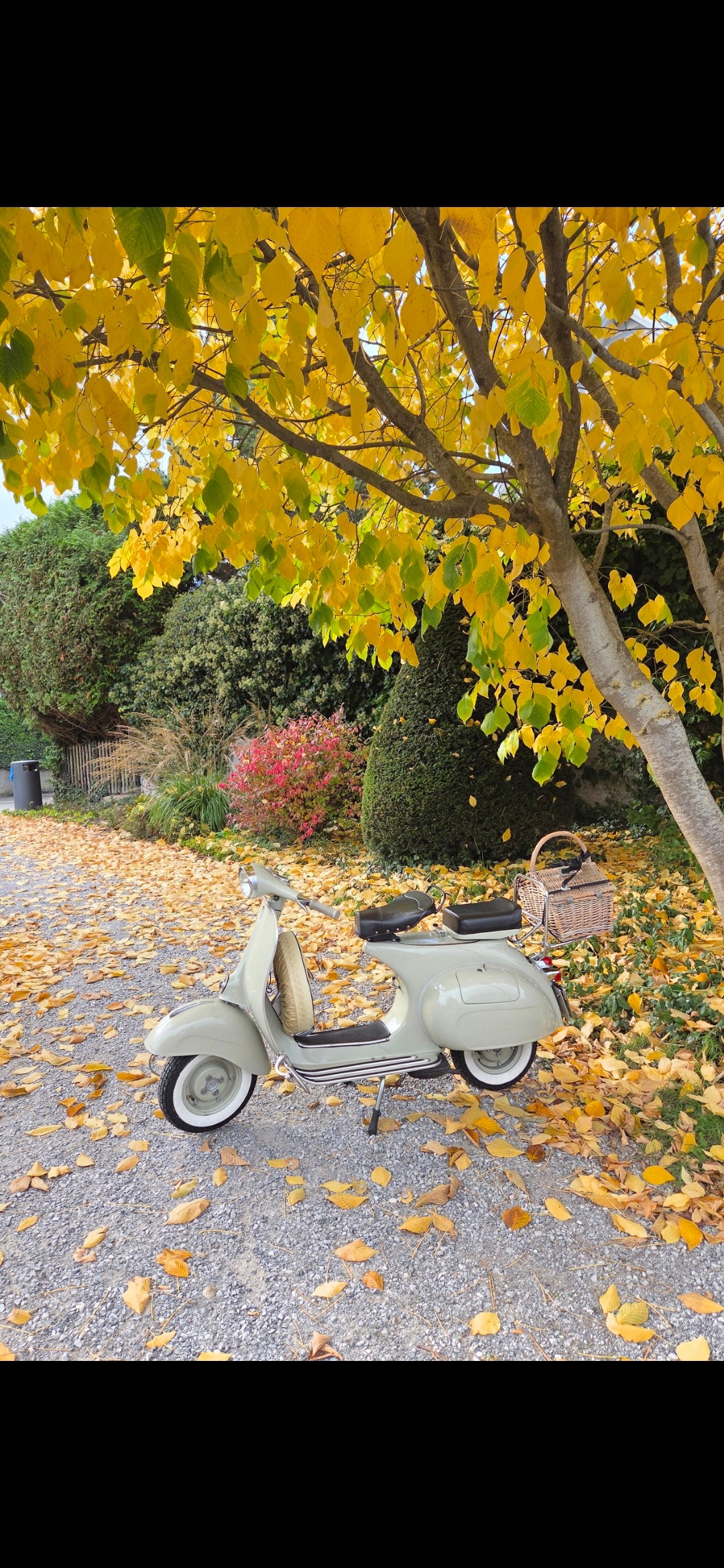 PIAGGIO Vespa 150 VBB 1T-image-5