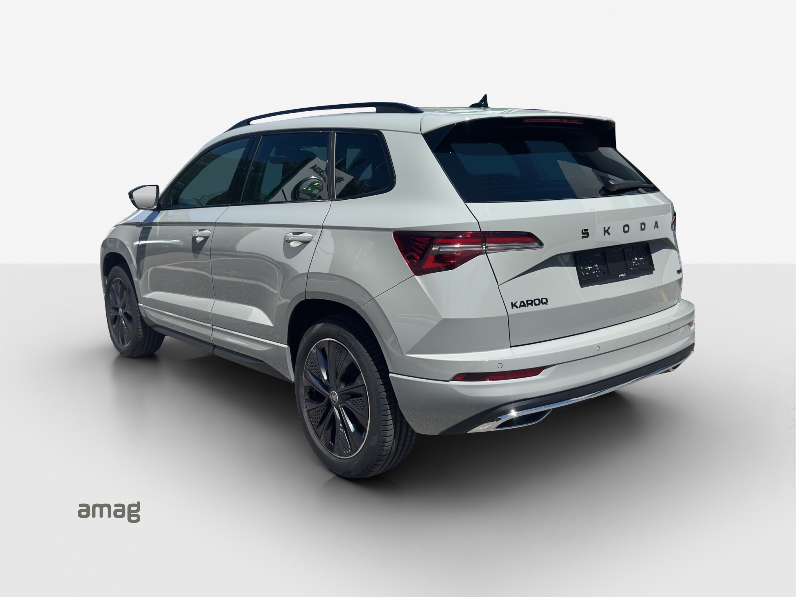SKODA Karoq 2.0 TSI Dynamic Limited Edition 4x4 DSG-showroom-element-2