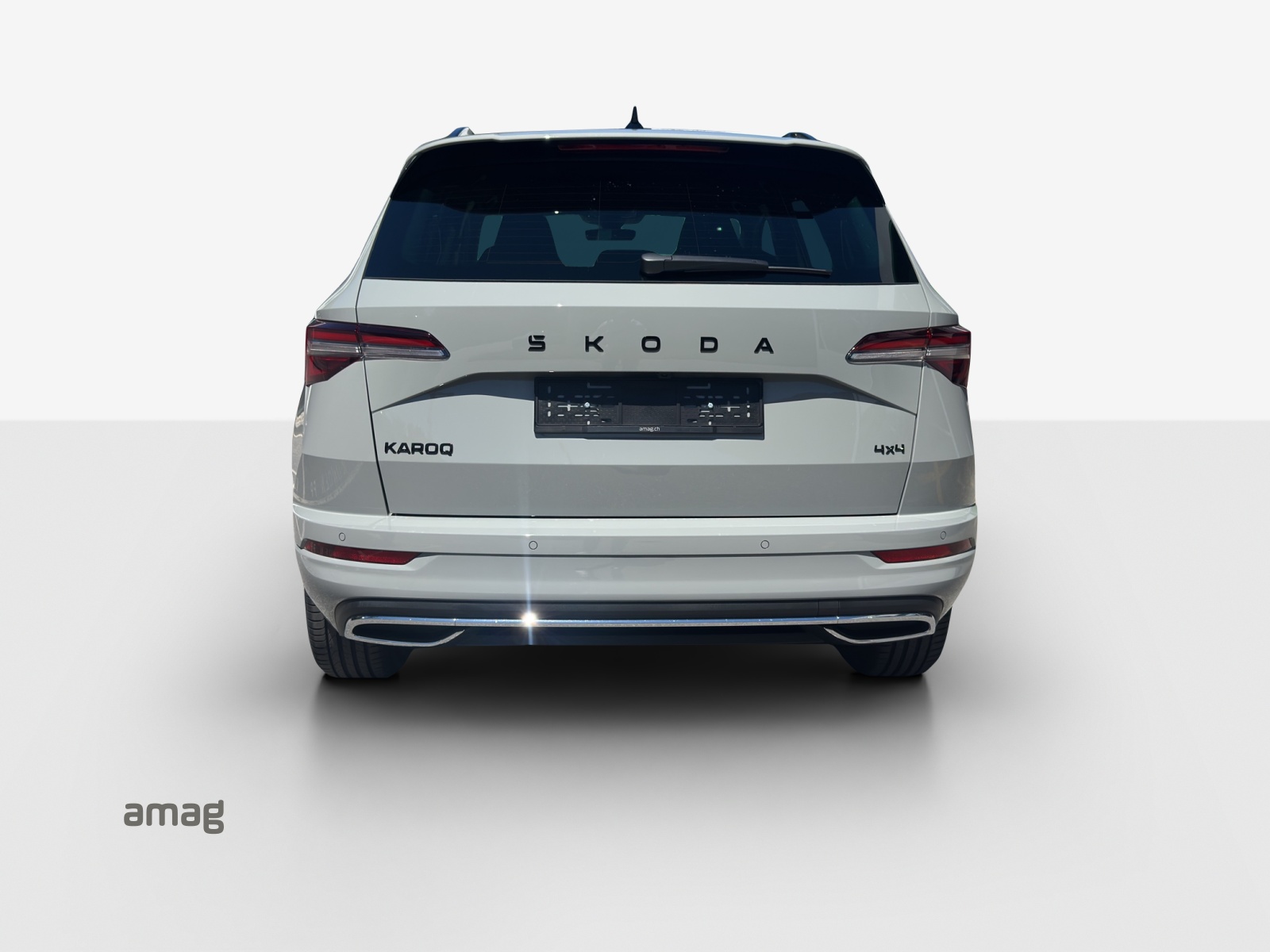 SKODA Karoq 2.0 TSI Dynamic Limited Edition 4x4 DSG-showroom-element-3