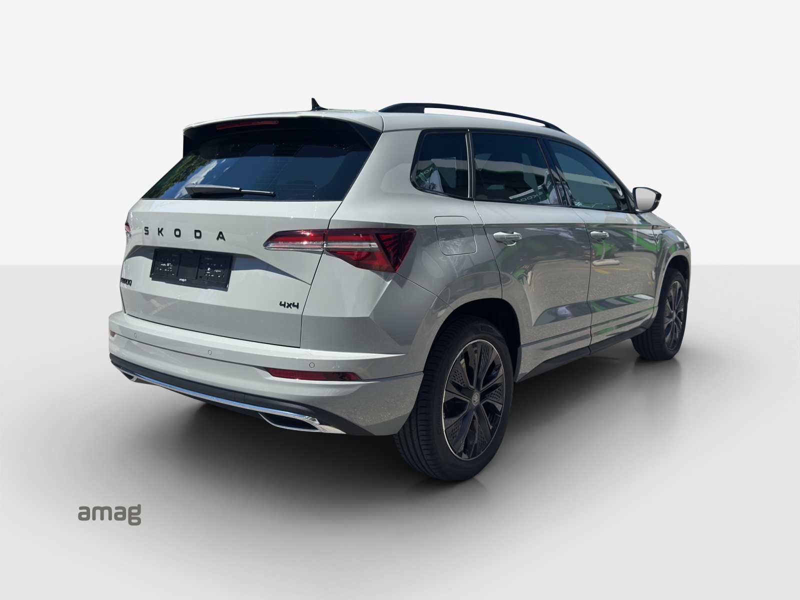SKODA Karoq 2.0 TSI Dynamic Limited Edition 4x4 DSG-image-4