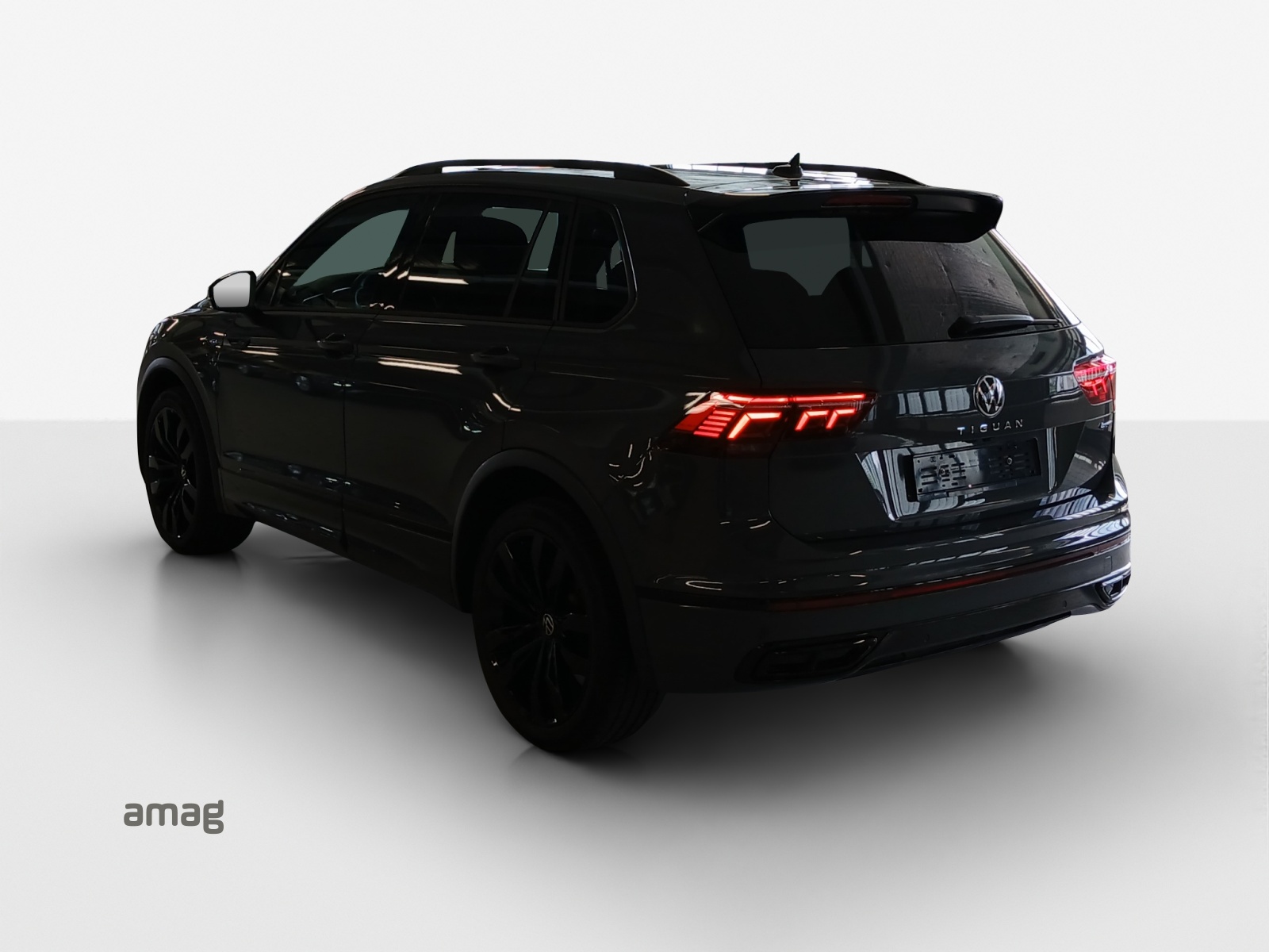 VW Tiguan 2.0 TDI SCR R-Line 4Motion DSG-showroom-element-2