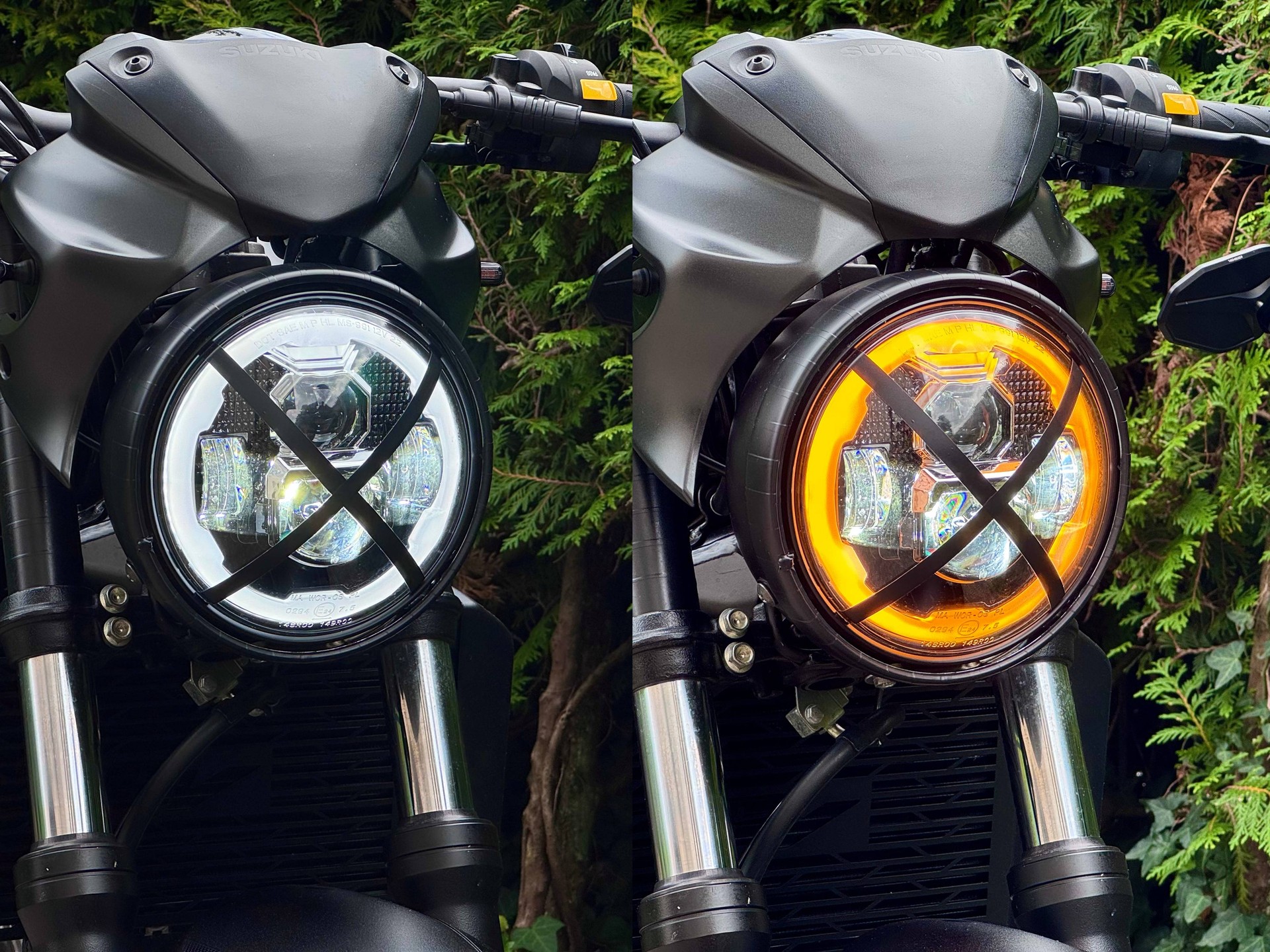 SUZUKI SV 650 ABS L6 (35kW)-image-5