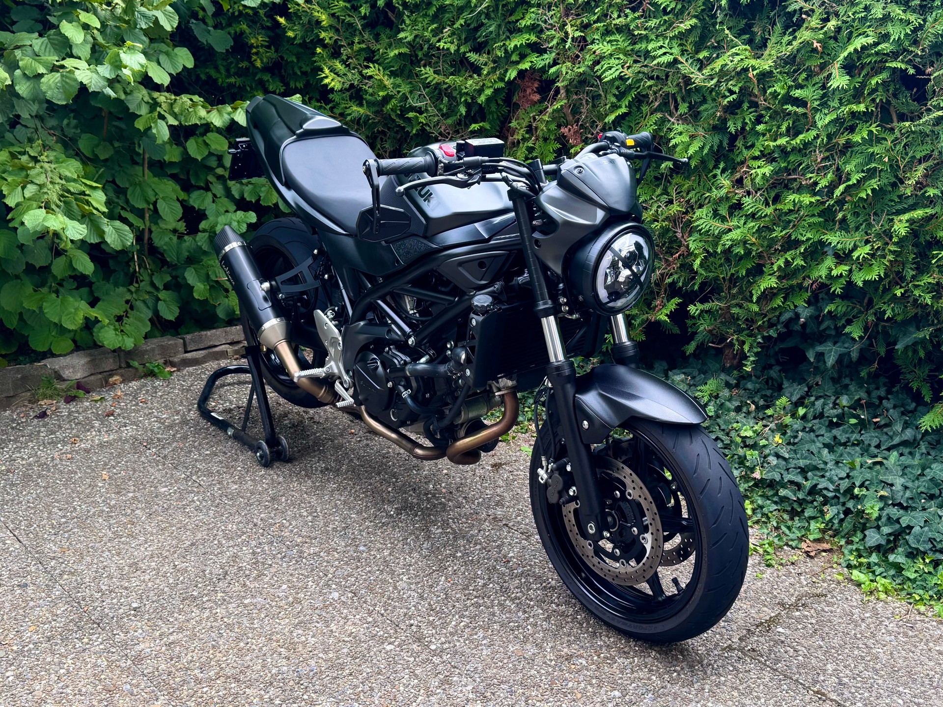 SUZUKI SV 650 ABS L6 (35kW)-image-2