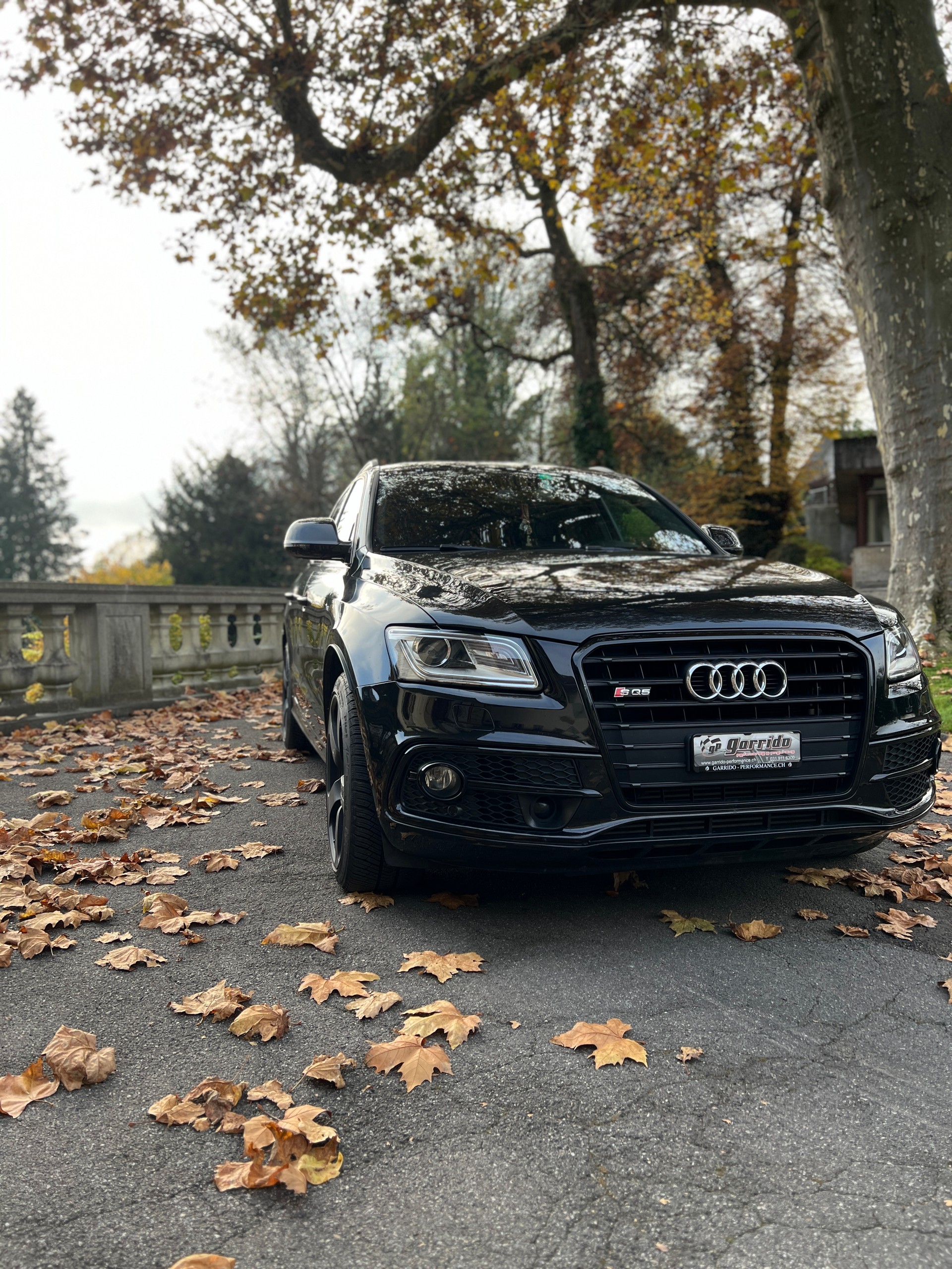 AUDI SQ5 3.0 TDI plus quattro tiptronic-image-1