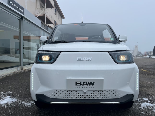 BAW Pony
