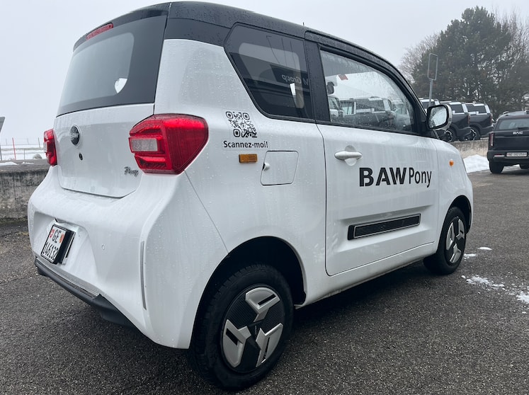 BAW Pony-image-2