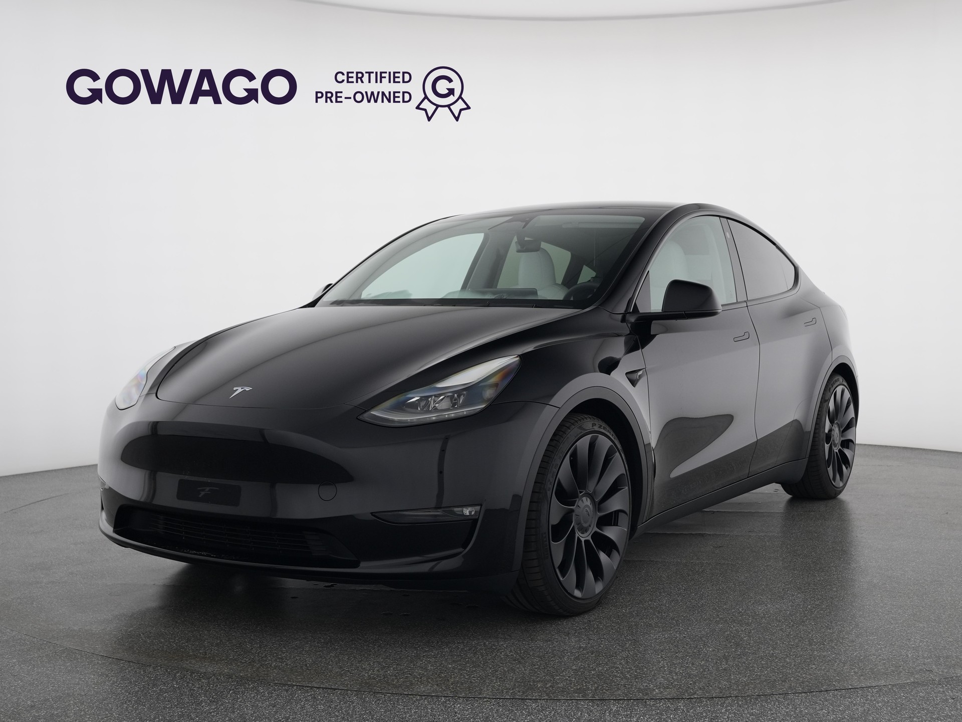 TESLA Model Y Performance