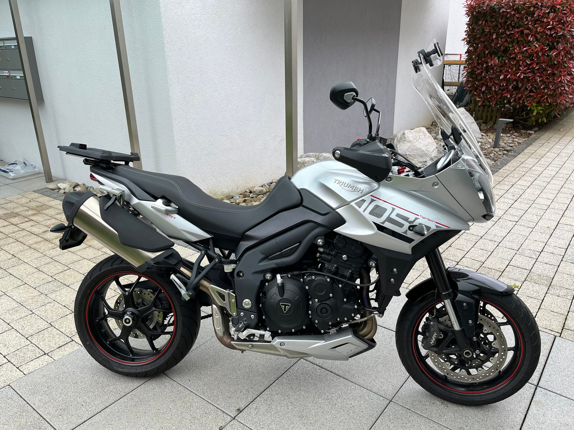 TRIUMPH Sport-image-3