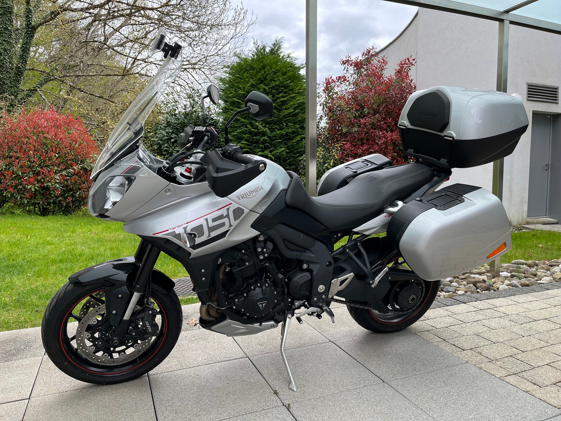 TRIUMPH Sport-image-0