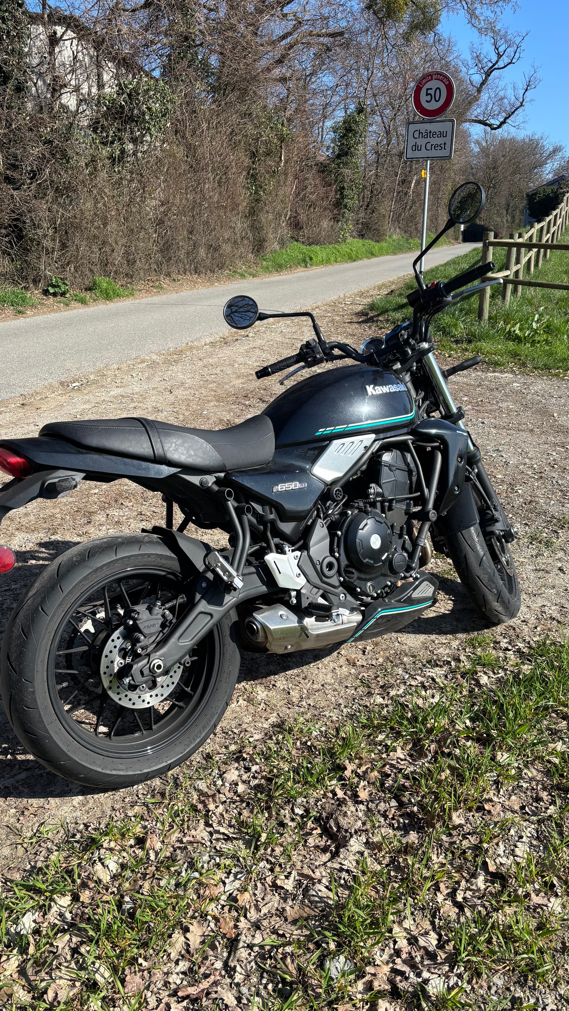 KAWASAKI Z 650 RS-image-3