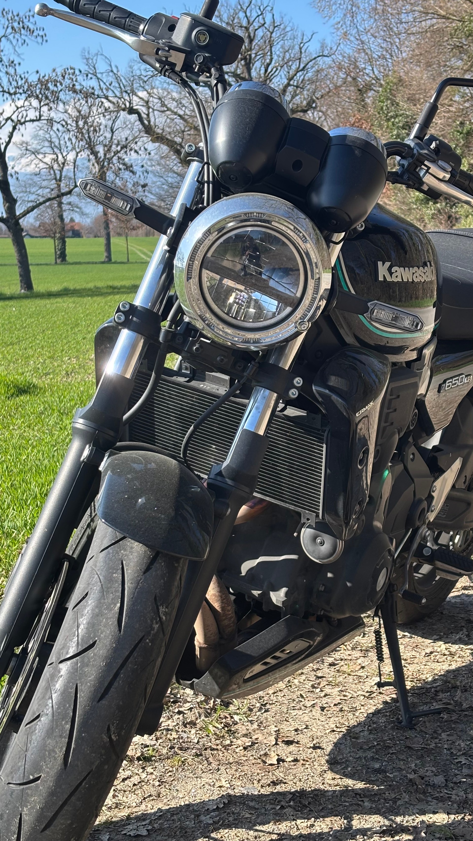 KAWASAKI Z 650 RS-image-5