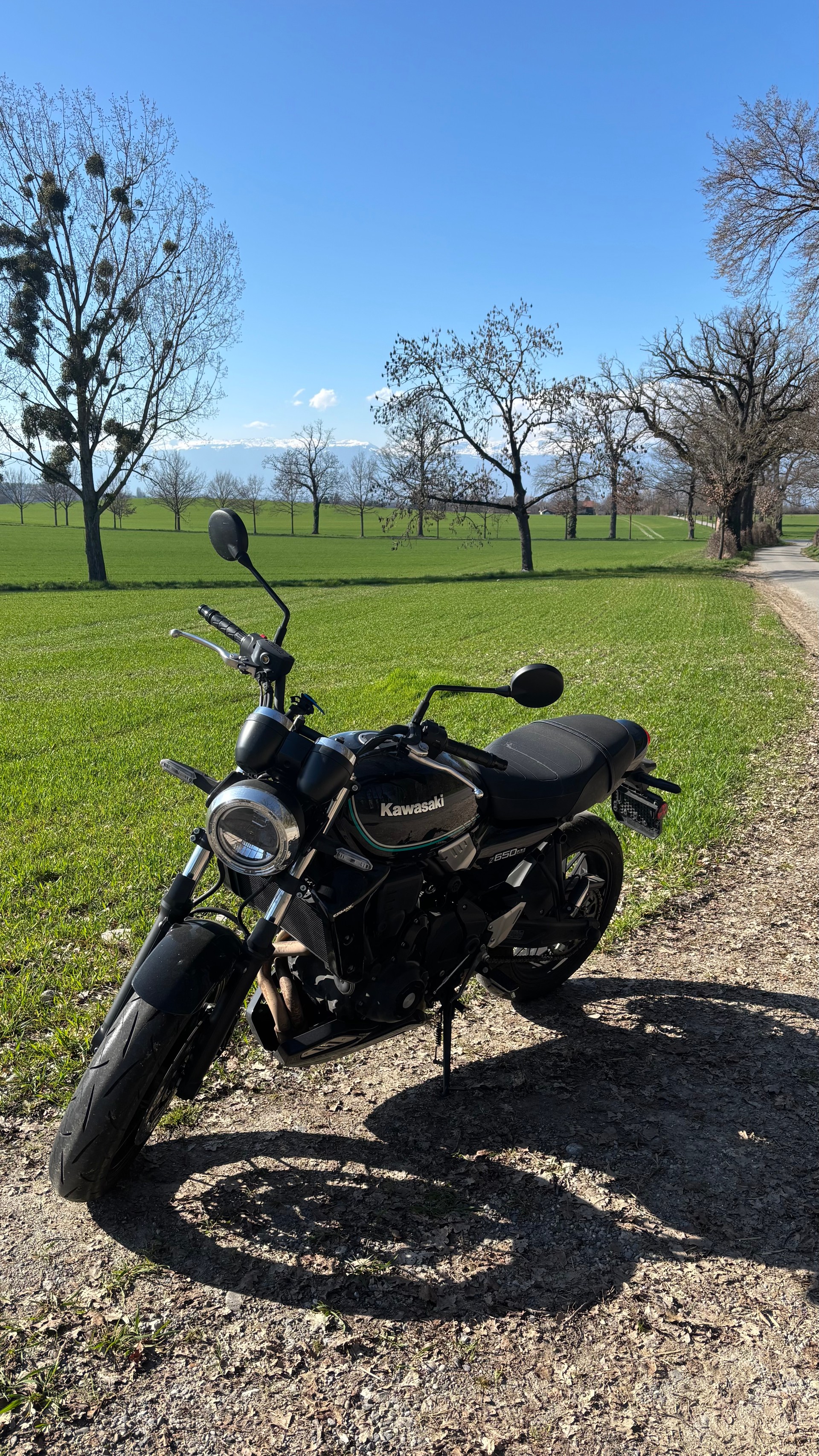 KAWASAKI Z 650 RS-image-0
