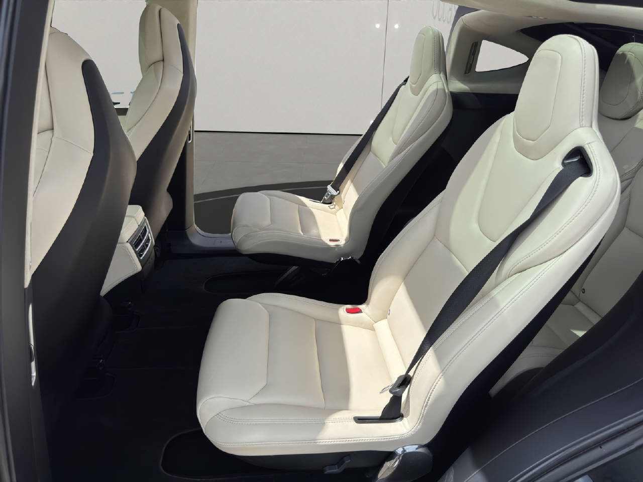 TESLA Model X 100 D-image-6