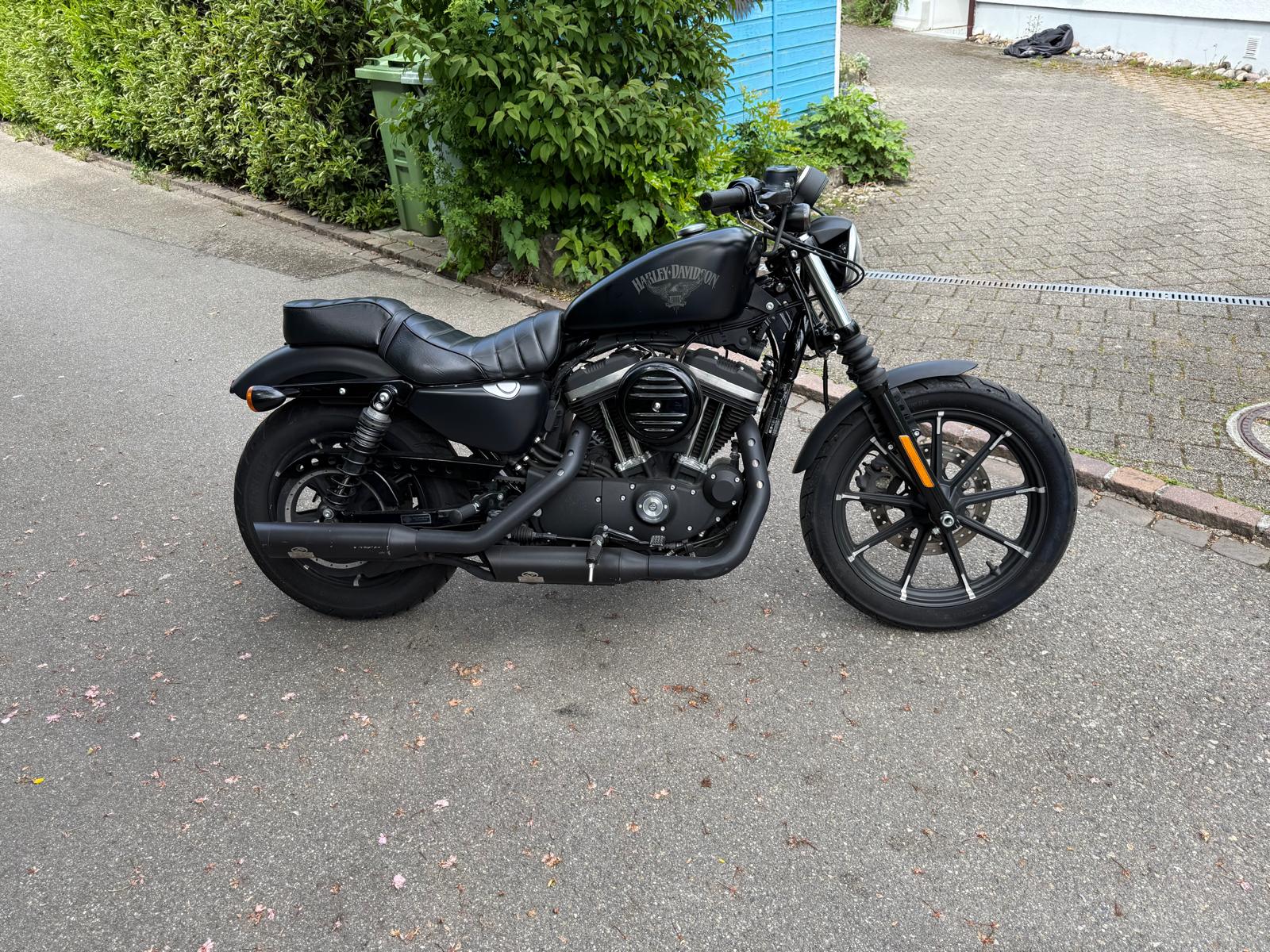 HARLEY-DAVIDSON XL 883 N Sportster Iron ABS-image-11