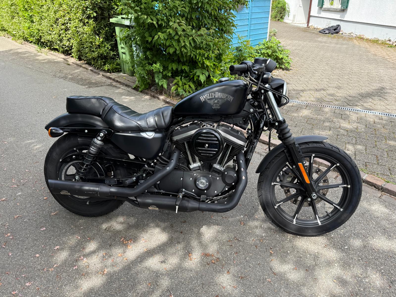 HARLEY-DAVIDSON XL 883 N Sportster Iron ABS-image-0