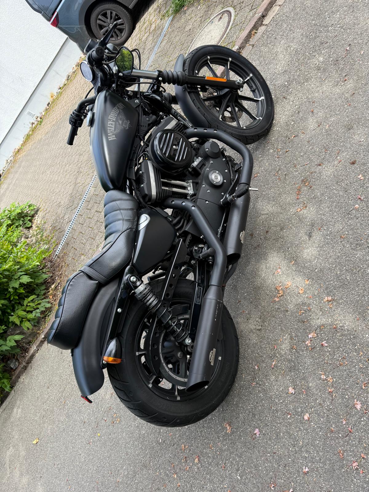 HARLEY-DAVIDSON XL 883 N Sportster Iron ABS-image-10