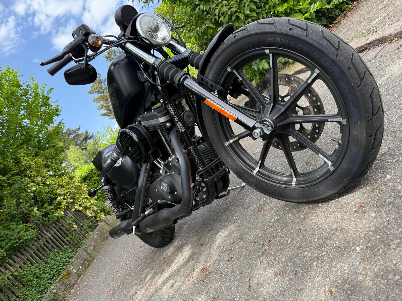 HARLEY-DAVIDSON XL 883 N Sportster Iron ABS-image-4