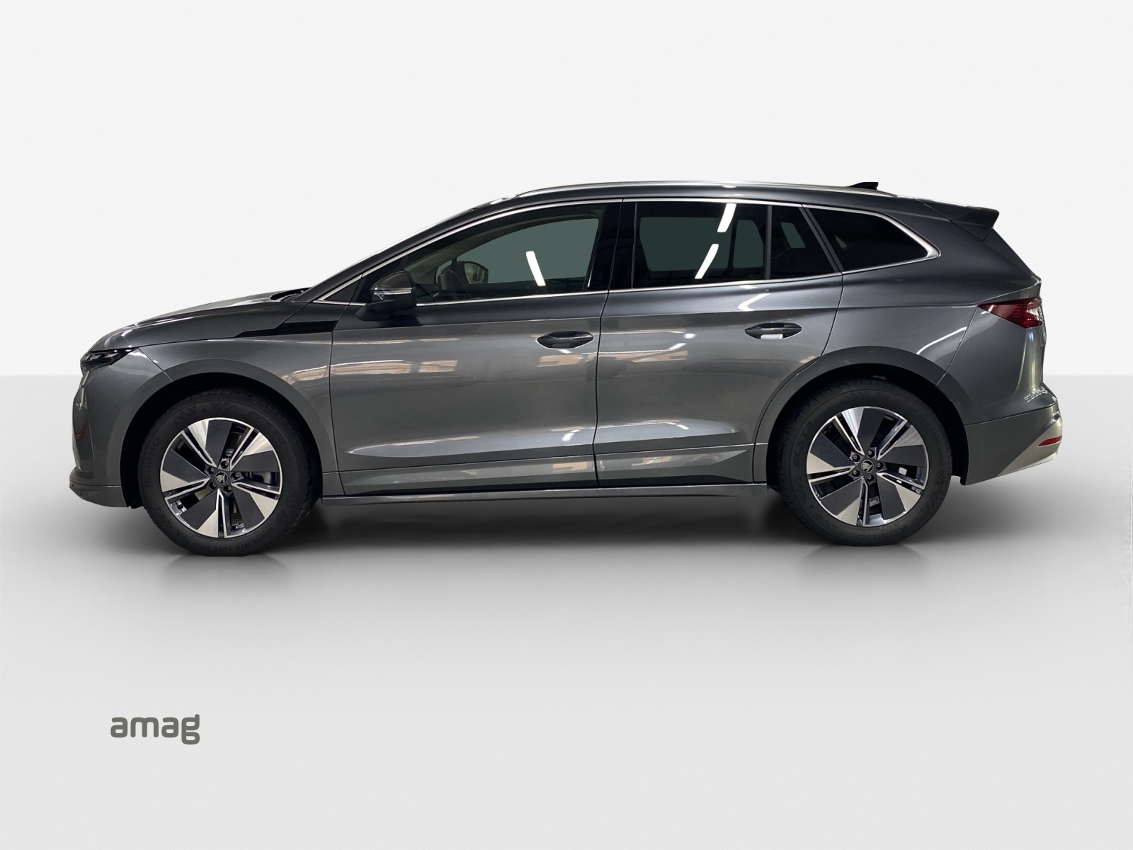 SKODA Enyaq 85x Dynamic 4x4-showroom-element-1