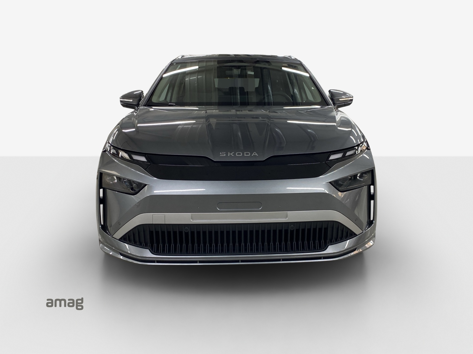SKODA Enyaq 85x Dynamic 4x4-image-6