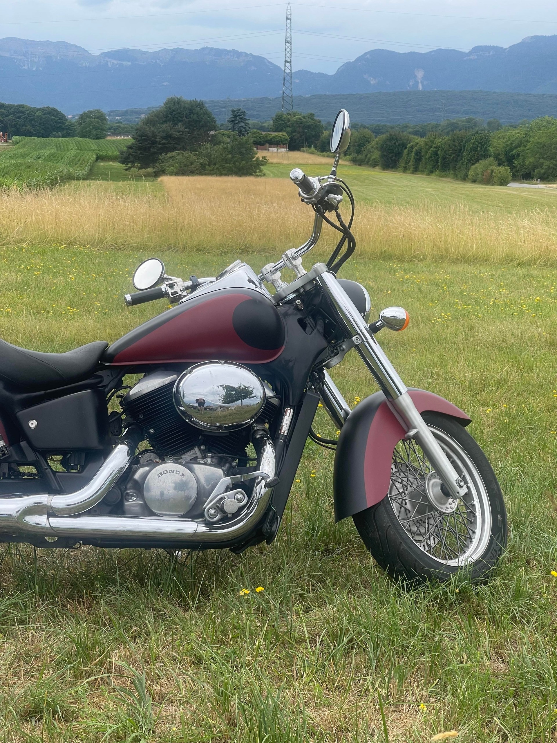 HONDA VT 750 C Shadow-image-4