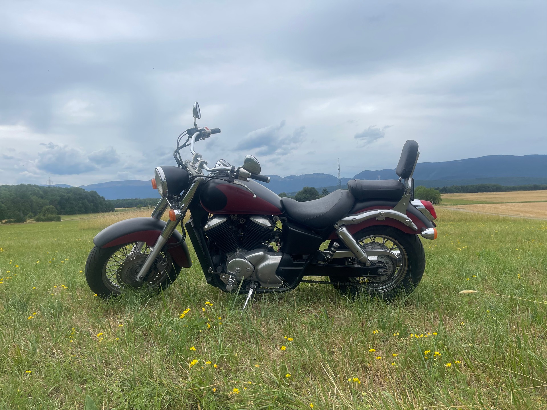 HONDA VT 750 C Shadow